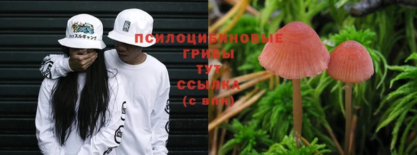 а пвп мука Арсеньев
