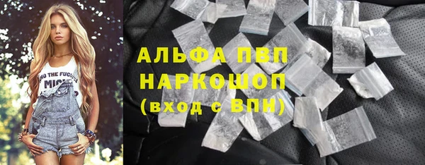 стаф Балахна