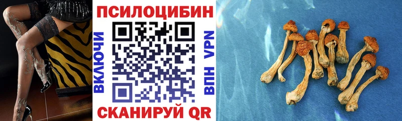 KRAKEN зеркало  Нижние Серги  Псилоцибиновые грибы MAGIC MUSHROOMS  где найти  